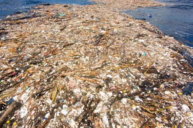 Great Pacific Garbage Patch