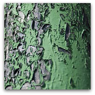 Green paint, Flickr image by Jordan Perr