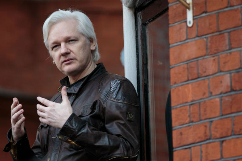 Julian Assange at the Embassy of Ecuador in May 2017 (Jack Taylor/Getty Images)