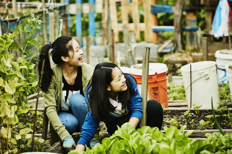 Two young women volunteering at a community garden (Getty Images/ Thomas Barwick)