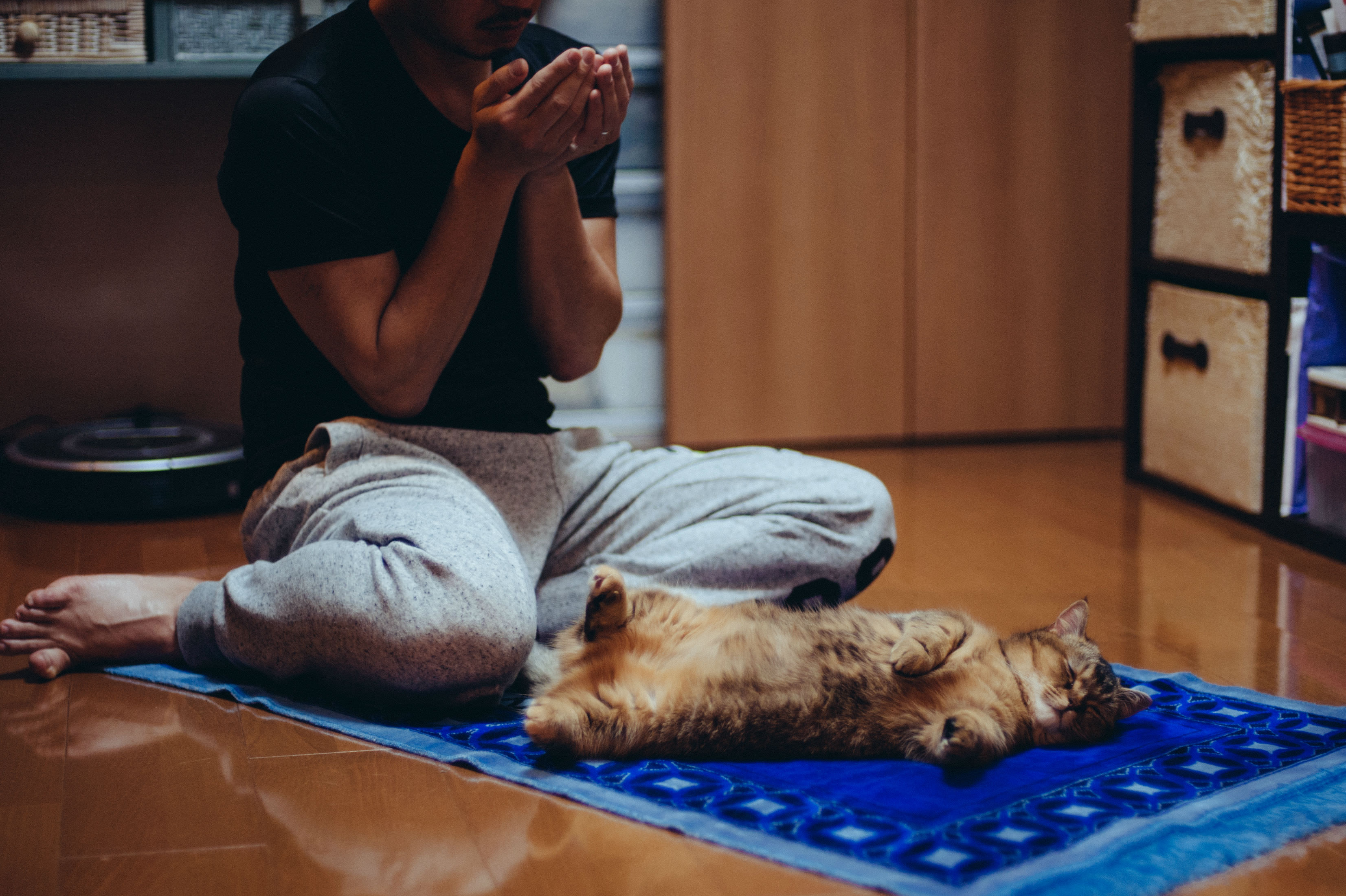 Man praying at home with cat (Getty Images/Nazra Zahri)
