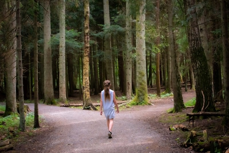 Woman approaching forked path (Photo by Einar Storsul on Unsplash)