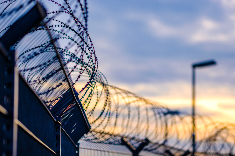 Main image: Barbed wire at sunset (Getty Images)