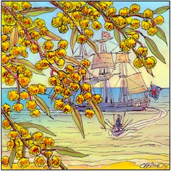 'Wattle Day' by Chris Johnston
