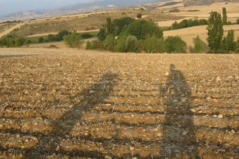 Shadows cast by pilgrims on the Camino Mozárabe