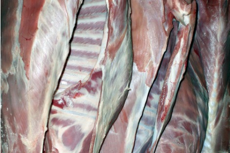 Cow carcasses
