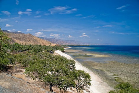 Timor Sea