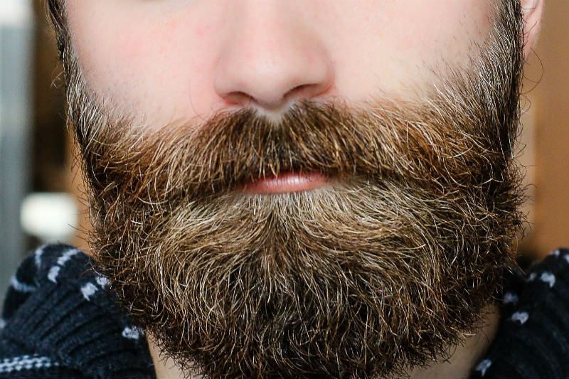 Bearded man (Pexels/Pixabay)
