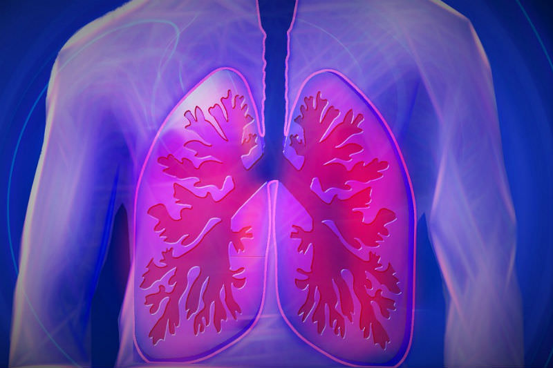 Lungs diagram