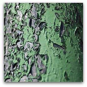 Green paint, Flickr image by Jordan Perr
